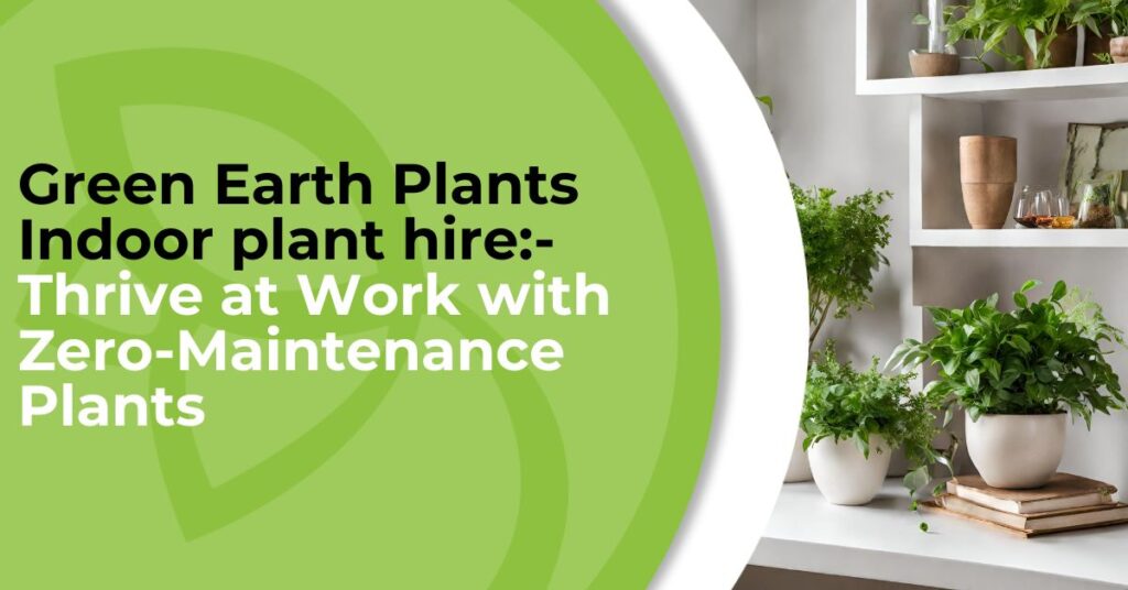 Zero Maintenance Plant Rental Services for Corporate Offices