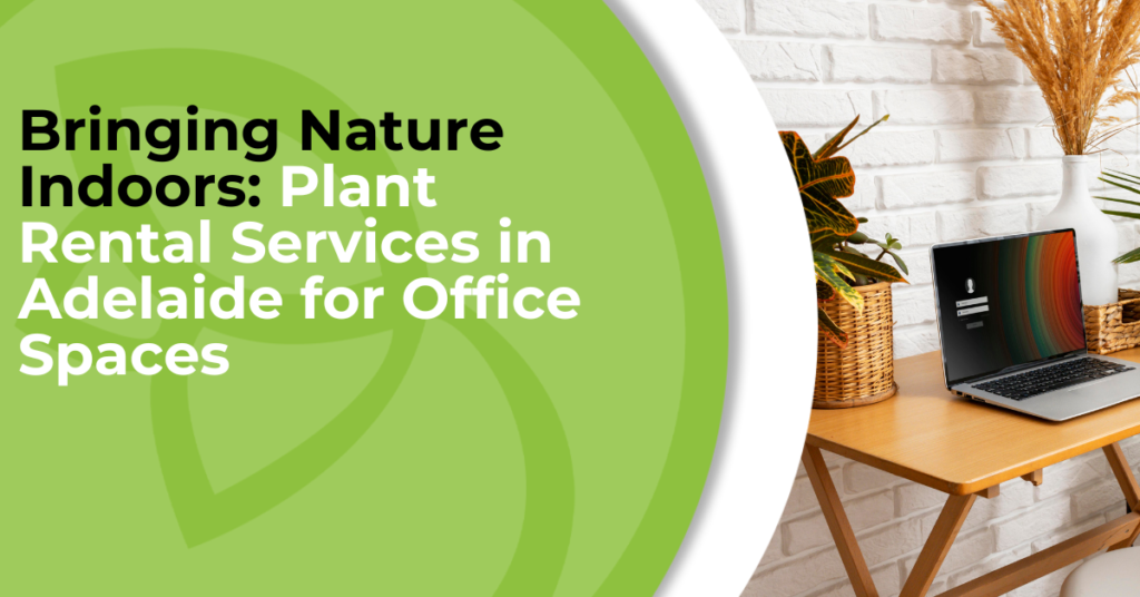 Bringing Nature Indoors: Plant Rental Services in Adelaide for Office Spaces