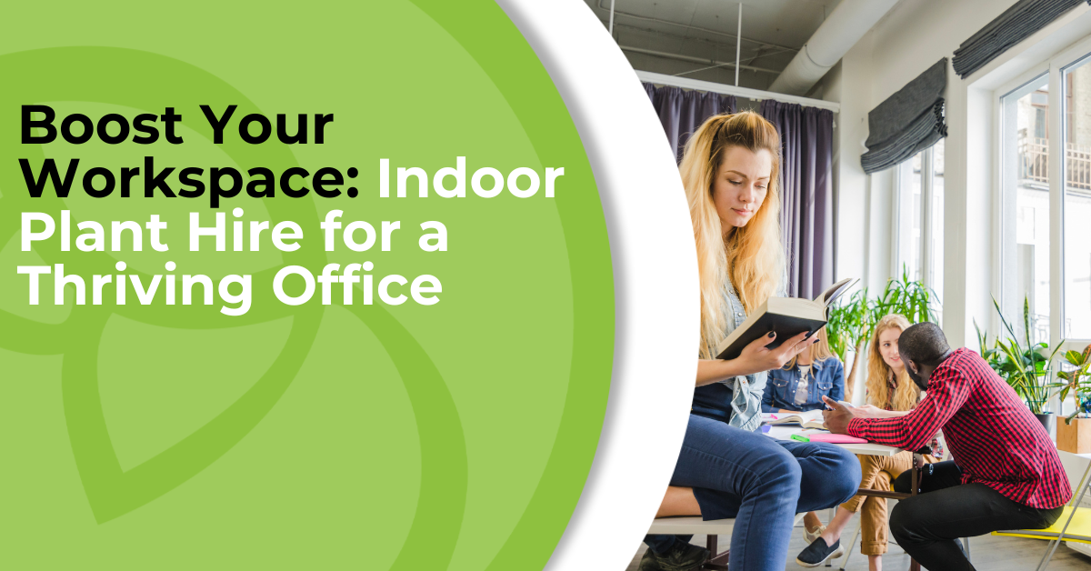Boost Your Workspace-Indoor Plant Hire For A Thriving Office - Luxury Thriving Office Ecosystems