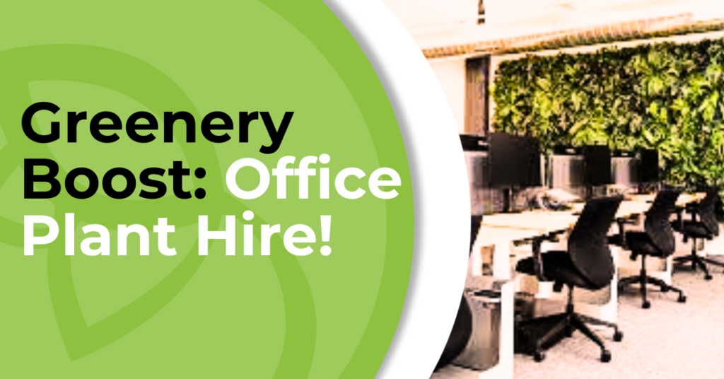 Office Plant Hire!