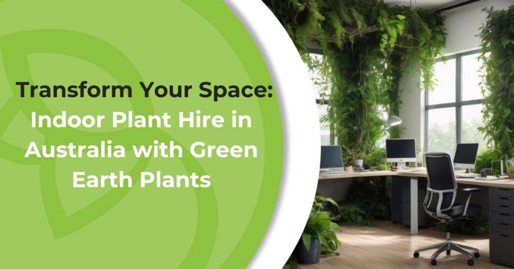 indoor plant hire